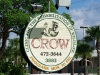 crow1